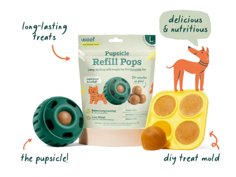 Play &amp; Enrichment Toys