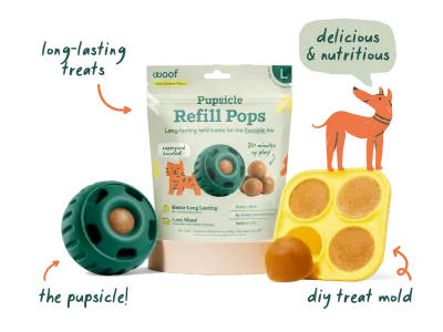 Play &amp; Enrichment Toys