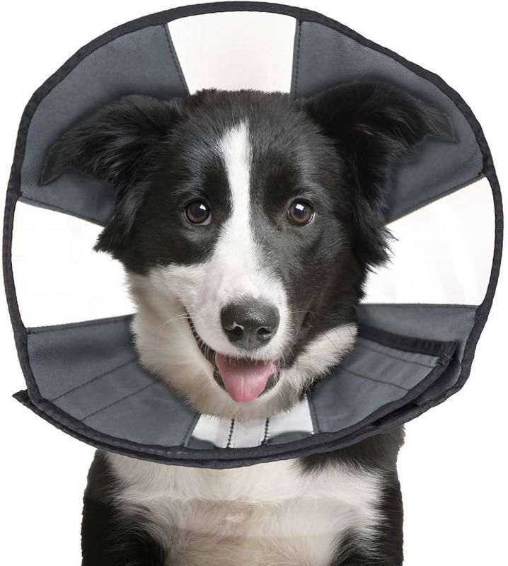 Zen Pet Soft Recovery Extra Large