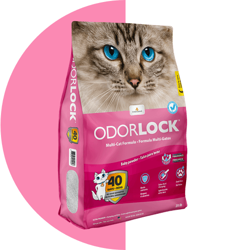 Intersand Odorlock Original Unscented 13lb