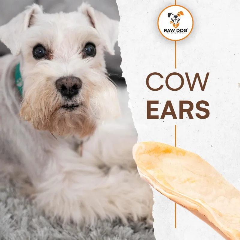 Raw Dog Cow Ears