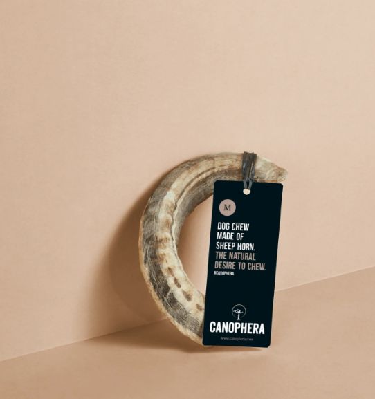 Canophera Sheep Horn Medium