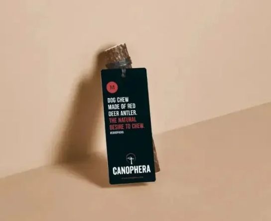 Canophera Red Deer Antler Medium