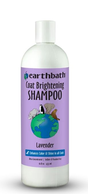 Earthbath Coat Brightening Shampoo 16oz