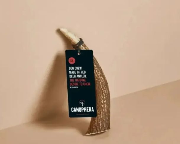 Canophera Red Deer Antler Extra Large