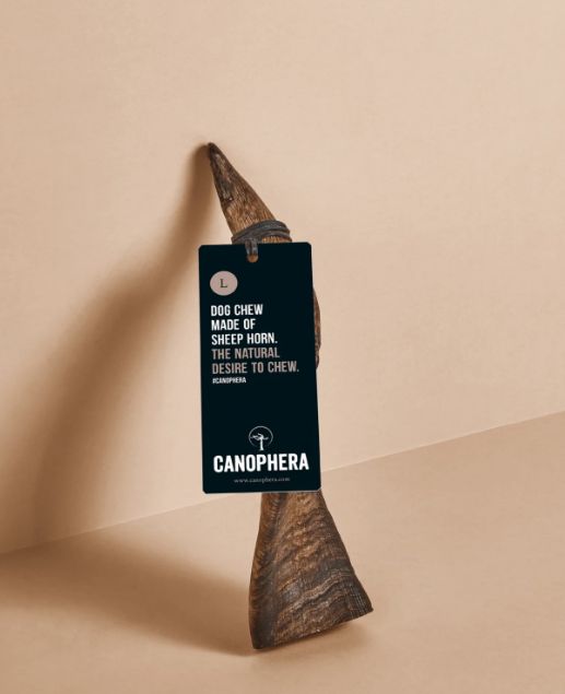 Canophera Sheep Horn Large
