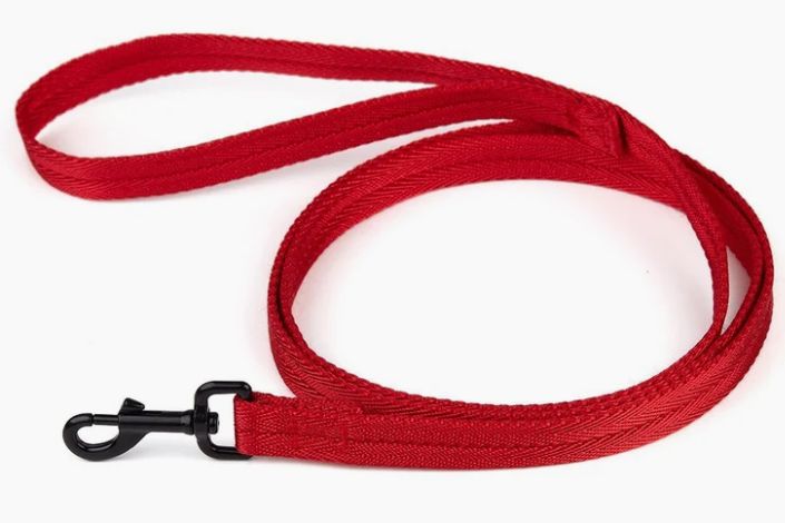 Dogline Nylon Flat Leash 4ft Red