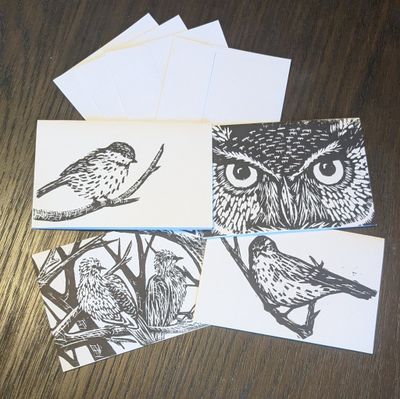 4 Pack Bird Greeting Cards