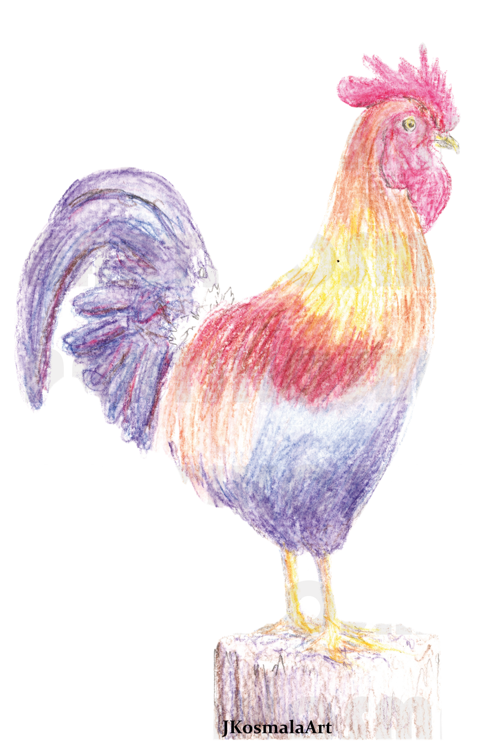 "Watchful Rooster" Print 5 x 7