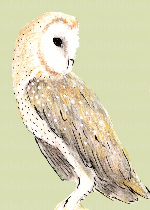 Soren, Black Hills Raptor Series, Limited Edition print