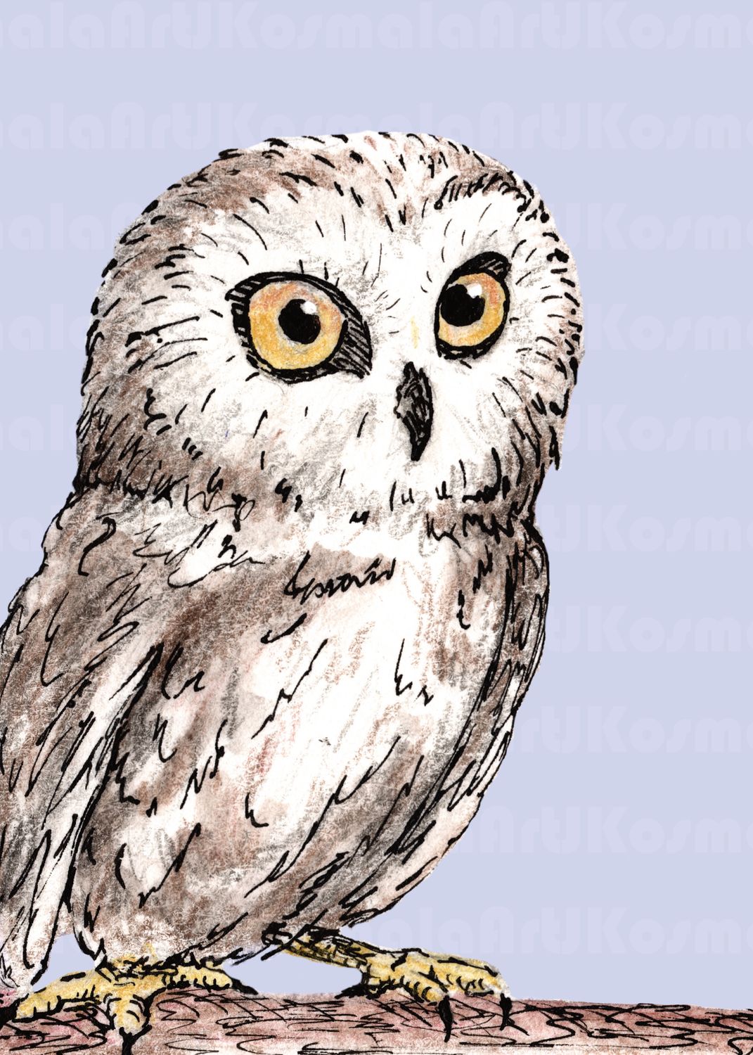 Doolittle, Black Hills Raptor Series, Limited Edition print