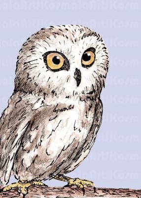 Doolittle, Black Hills Raptor Series, Limited Edition print
