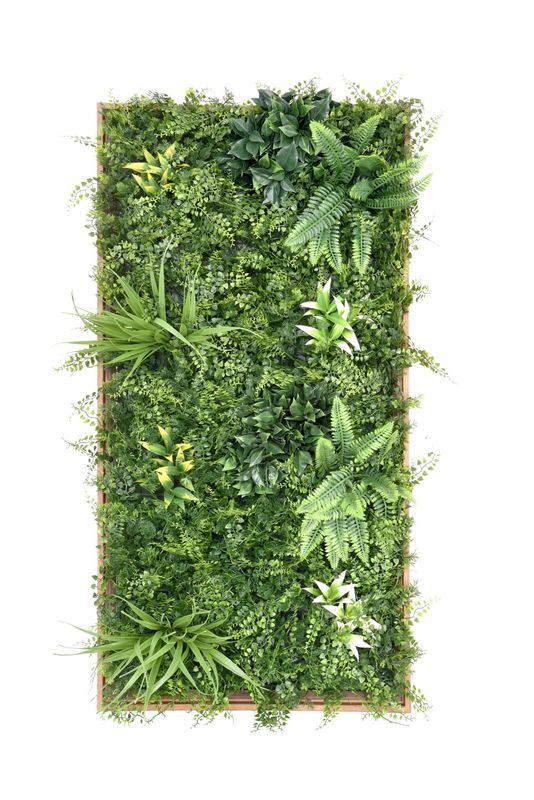 3D DENSE FERN WALL PANEL WITH FRAME 3D DENSE FERN WALL PANEL WITH FRAME