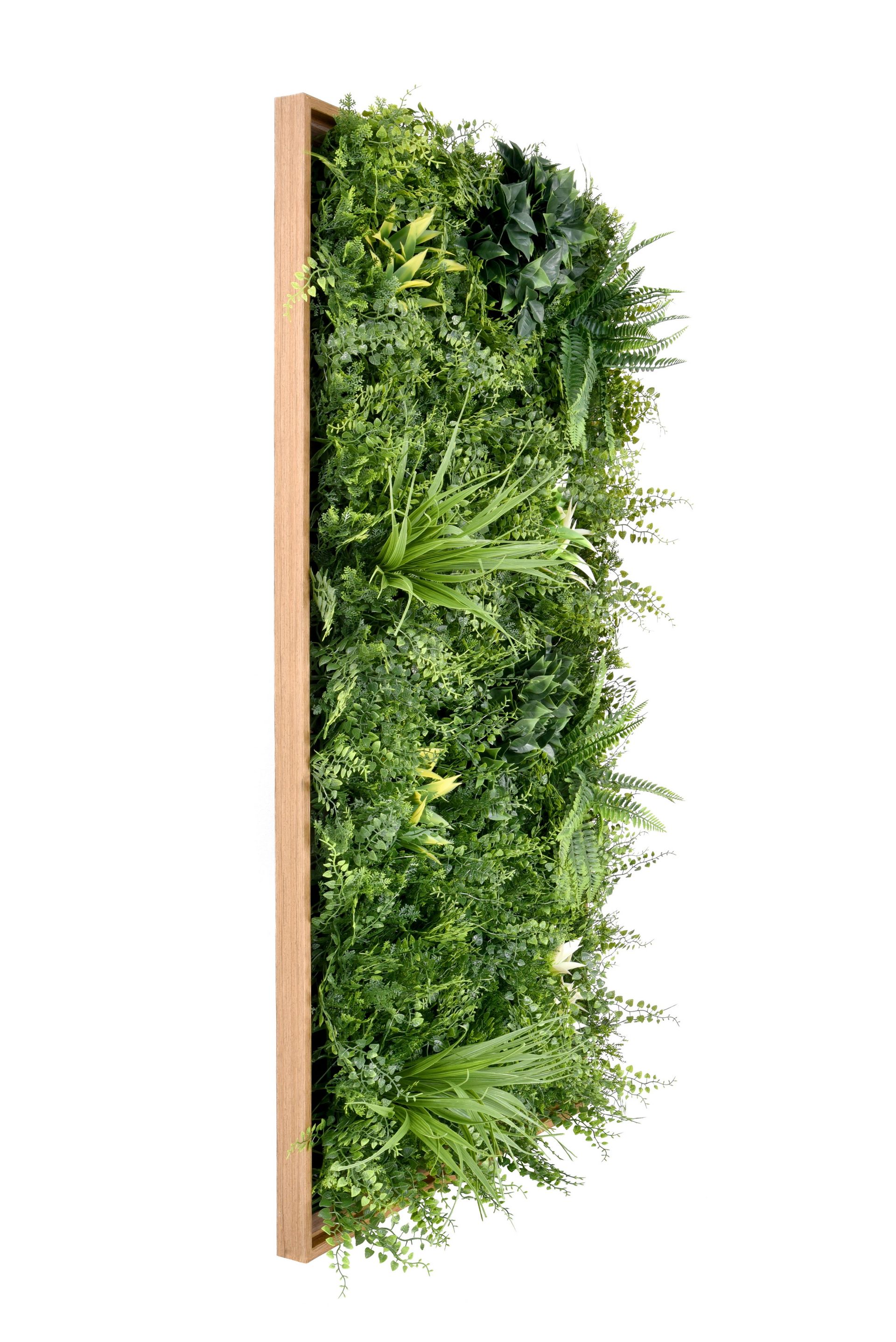 3D DENSE FERN WALL PANEL WITH FRAME