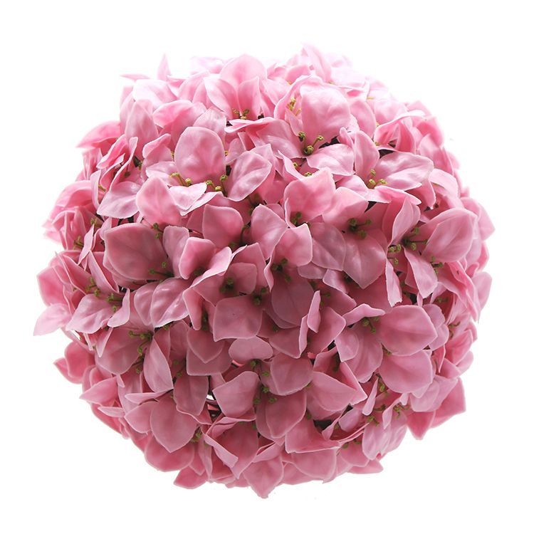 PINK BLOSSOM