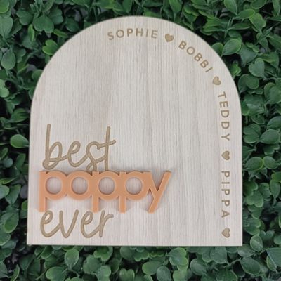 BEST (INSERT NAME) EVER PLAQUE