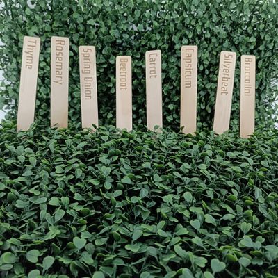 Custom Engraved Plant Stakes – Set of 6