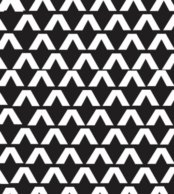 THE BLACK &amp; WHITE MONO'S