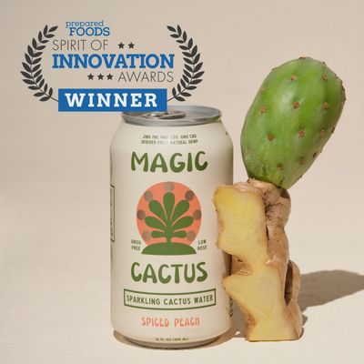 MAGIC CACTUS - SPICED PEACH