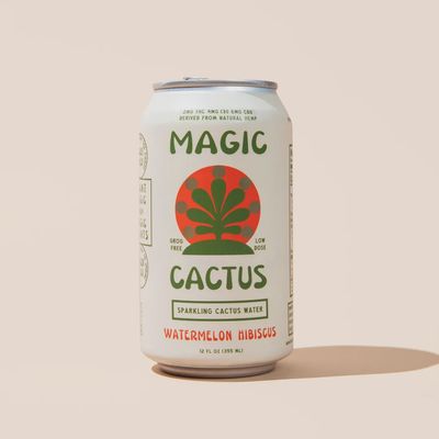 MAGIC CACTUS - WATERMELON HIBISCUS