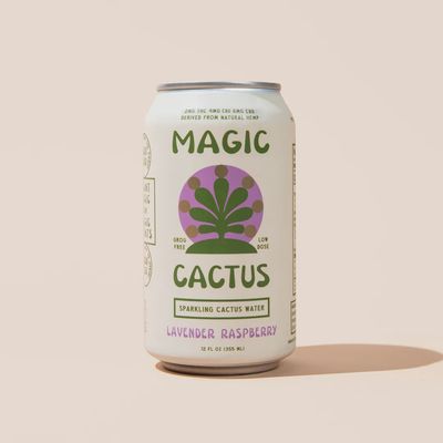 MAGIC CACTUS Low-Dose THC CBD Hemp Drinks - LAVENDER RASPBERRY