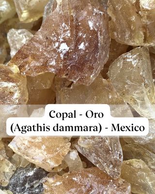 Copal - Oro Resin (Agathis dammara) - Mexico