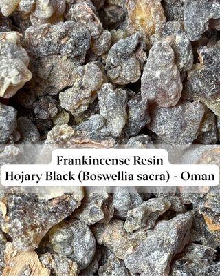Frankincense Resin - Hojary Black (Boswellia sacra) - Oman