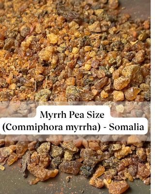 Myrrh Pea Size Resin (Commiphora myrrha) - Somalia