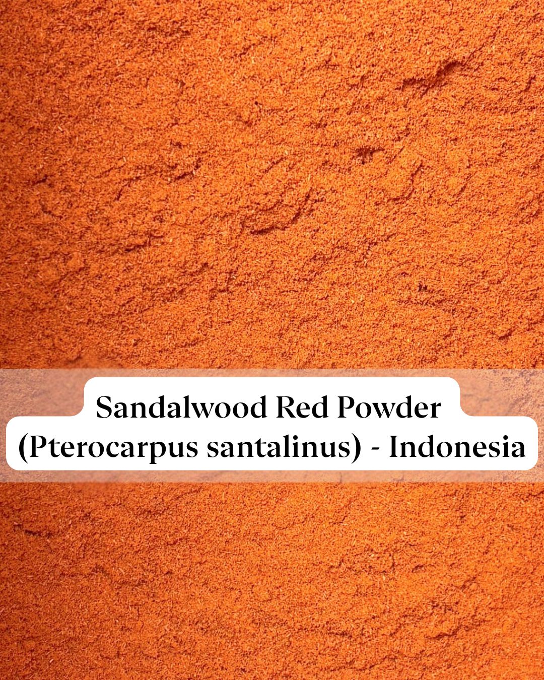 Sandalwood Red Powder (Pterocarpus santalinus) - Indonesia