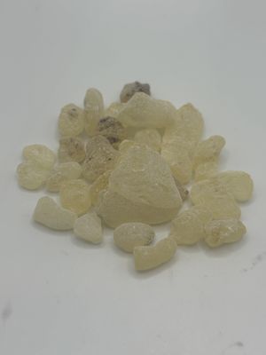 Dammar Gum Resin (white) (Shorea wiesneri) from Indonesia