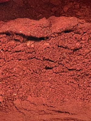 Dragon&#39;s Blood Powder (Daemonorops draco)