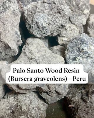 Palo Santo Wood Resin (Bursera graveolens) - Peru