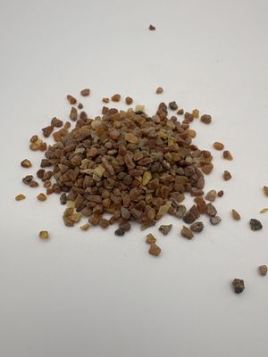 Amber Resin (Pinus succinifera) - Poland
