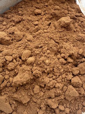 Galangal Root Powder (Alpinia officinarum) - Thailand