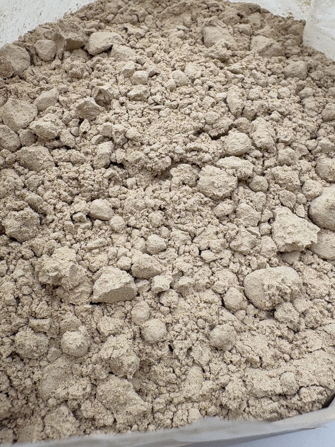 Calamus Root Powder (Acorus calamus) - Russia