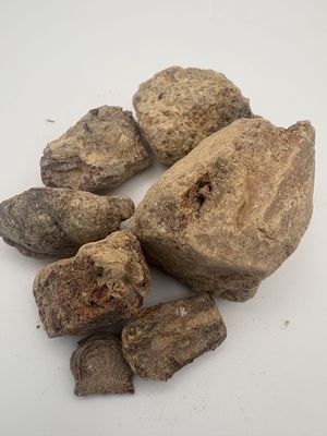 Copal Mayan (Pinus contorta) Resin – Central America