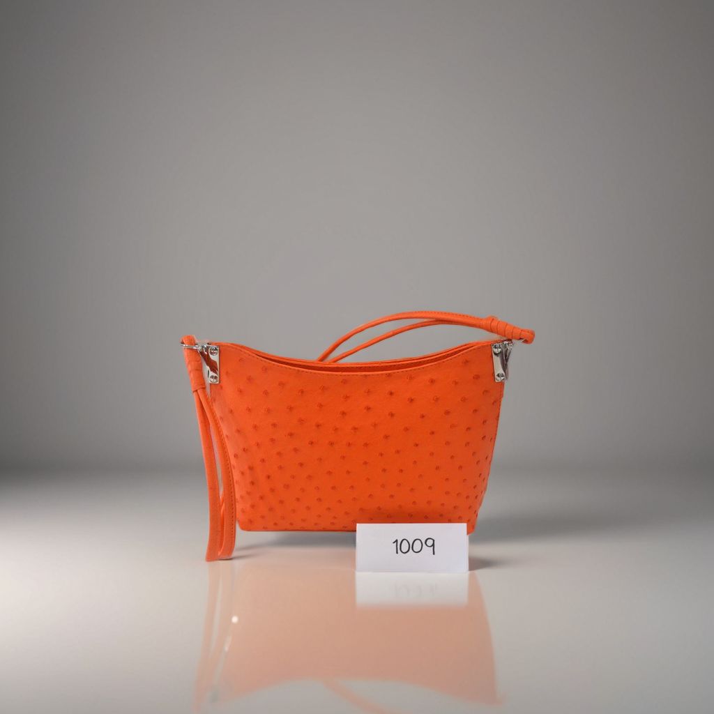 Design 1009
