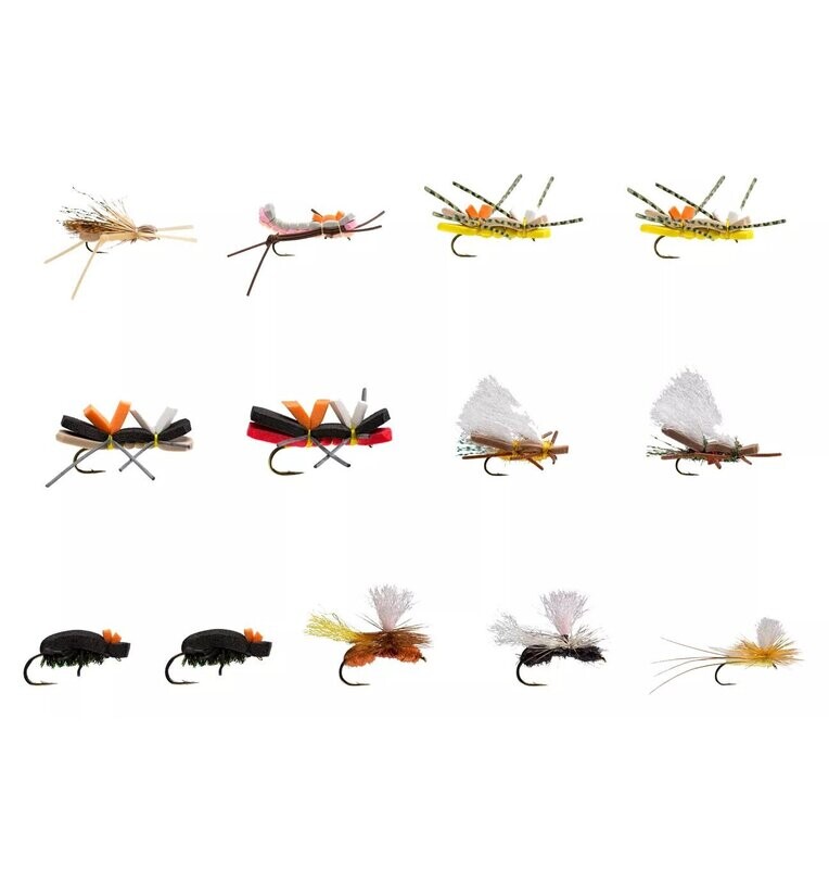 Terrestrial Assortment