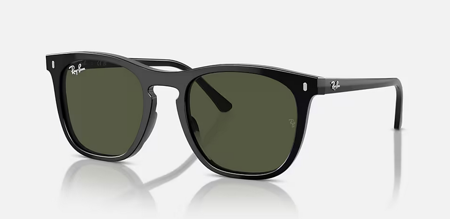 RB2210  BLACK WITH POLARIZED GREEN