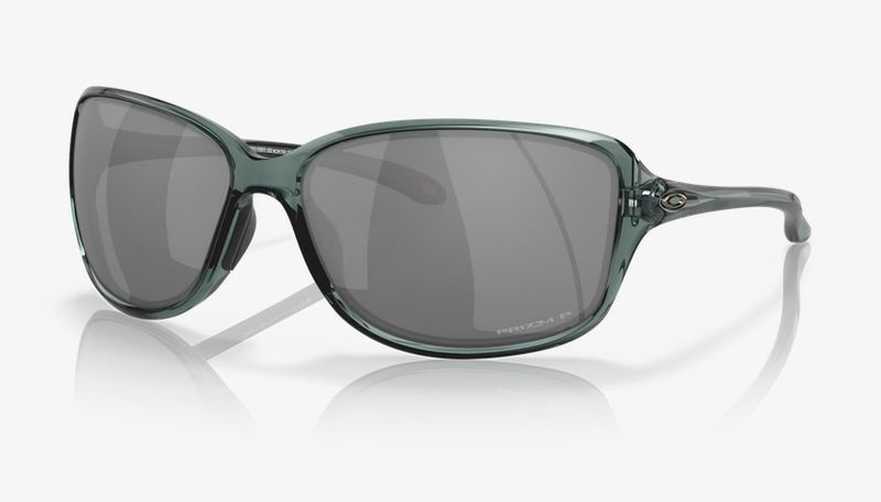 COHORT, CRYSTAL BLACK, PRIZM BLACK POLAR
