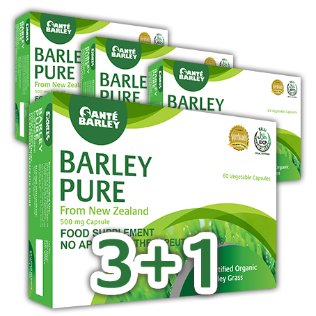 Wellness Pack (Santé Barley Pure) - Buy 3 Boxes Get 1 Free