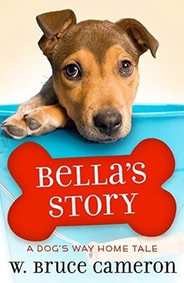 Bella&#39;s Story