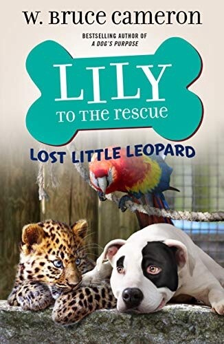 Lost Little Leopard (Lily to the Rescue, Bk. 5)
