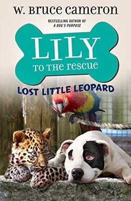 Lost Little Leopard (Lily to the Rescue, Bk. 5)