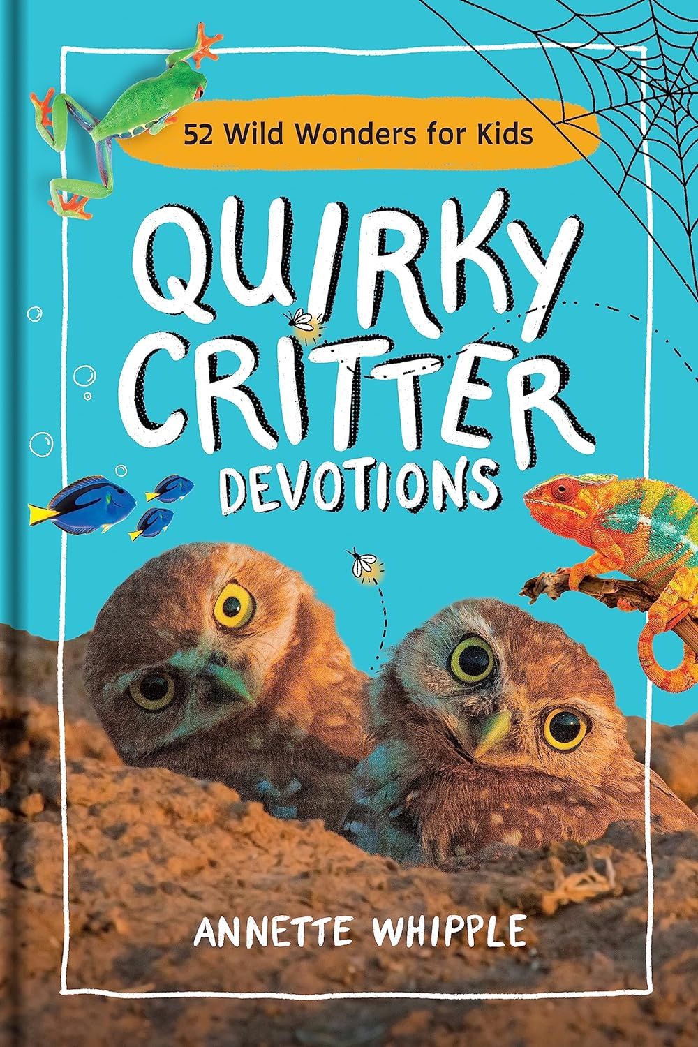 Quirky Critter Devotions