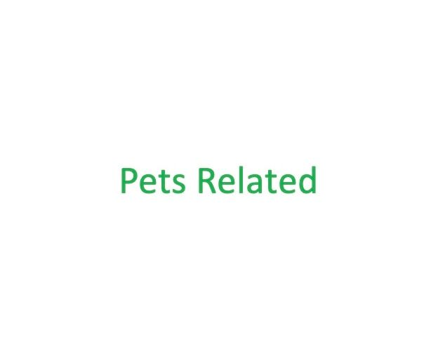 Pets Related