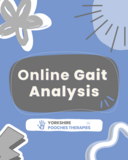 Online Gait Analysis