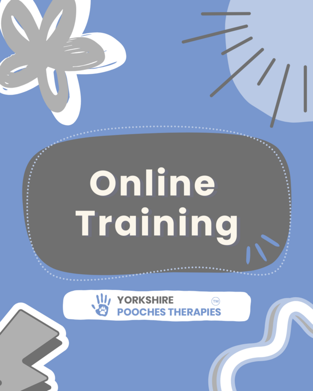 Online Training