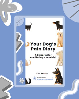 Your Dog's Pain Diary, A Blueprint For Monitoring A Pain Trial (Digital Version)