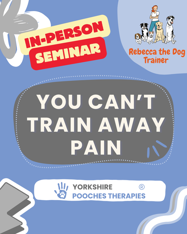 You Can't Train Away Pain Day Seminar 22/02/2025 @NE7